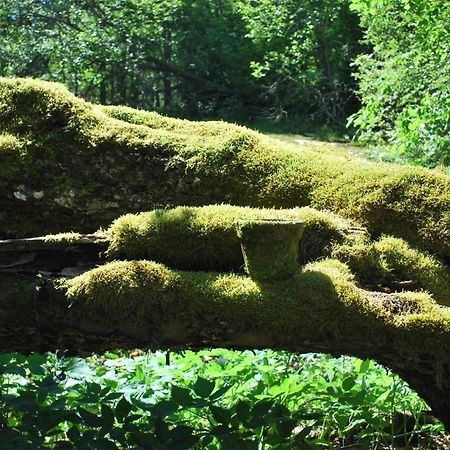 Kirjakkalan Ruukkikylae Teijo Oda fotoğraf