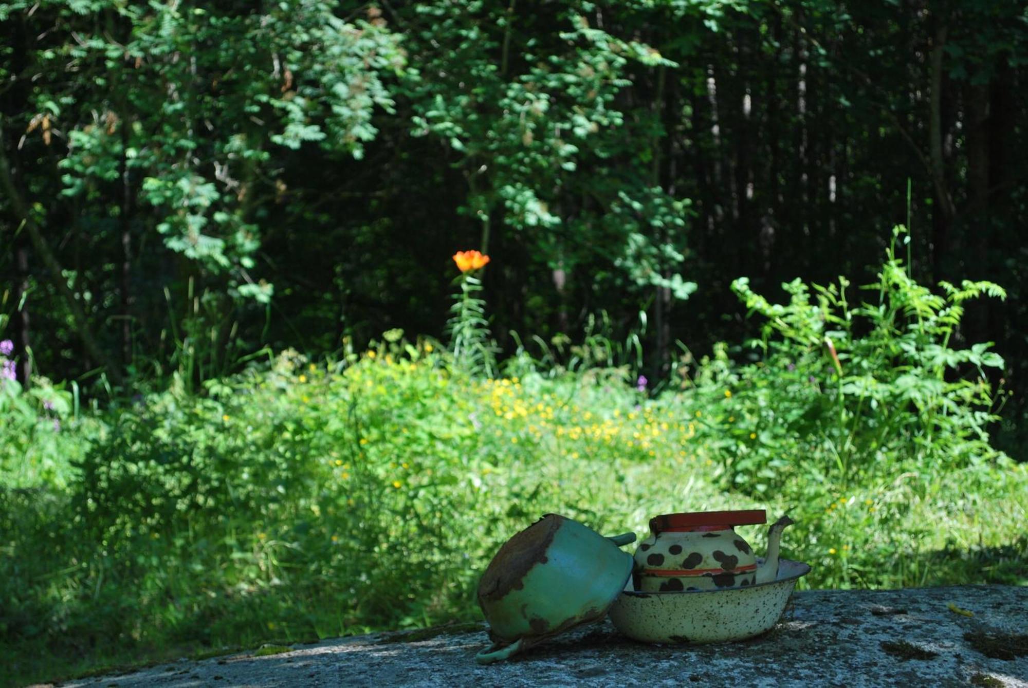 Kirjakkalan Ruukkikylae Teijo Oda fotoğraf