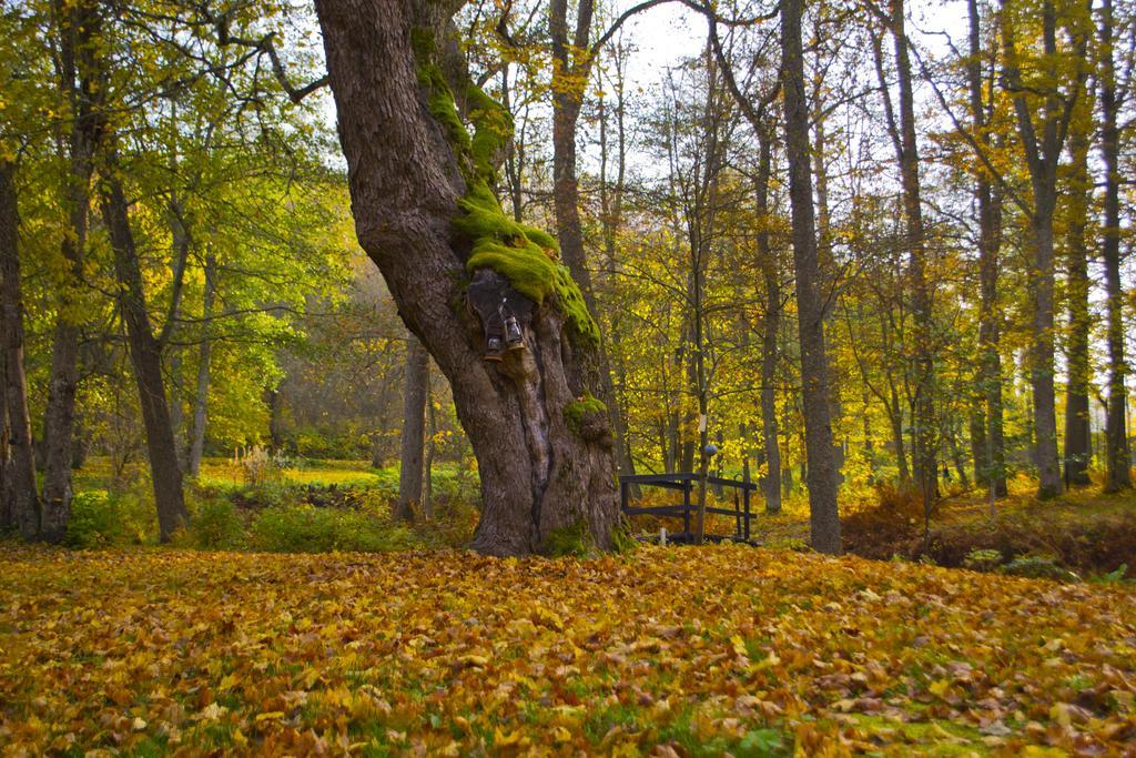 Kirjakkalan Ruukkikylae Teijo Dış mekan fotoğraf